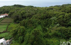 Ilha do Pico, Azores