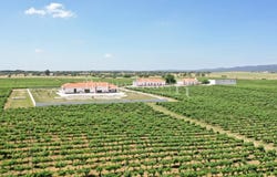 Redondo, Évora 7170