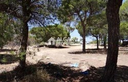 Almancil, Algarve 8135