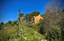 Colares, Lisbon 2705