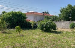 Vila Real, Vila Real District