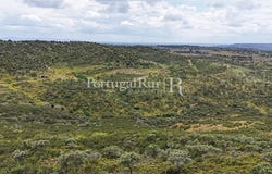 Rosmaninhal, Castelo Branco 6060