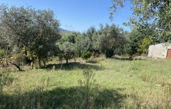 Vila Nova de Poiares, Coimbra District 3350-031