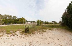 Comporta, Setúbal 7580