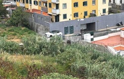 Santo Antônio, Madeira 9020
