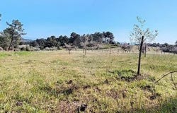 Valpacos, Vila Real