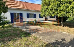 Martinchel, Santarém 2200
