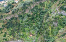 Faial, Madeira 9230
