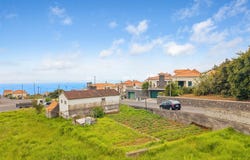 Canhas, Madeira 9360