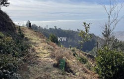 Monte, Madeira 9050