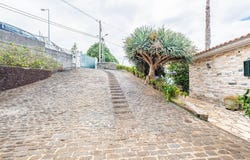 Monte, Madeira 9050