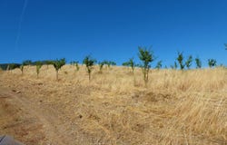 Pinhel, Guarda District 6400