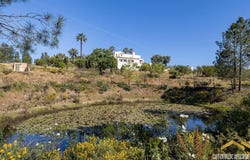 Monchique, Algarve 8550