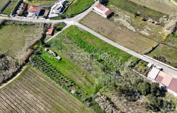 Anadia, Aveiro District