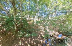 Leiria, Leiria District