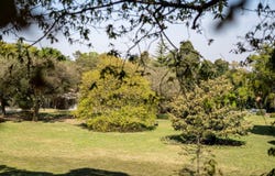 Vila Nova de Gaia, Porto District
