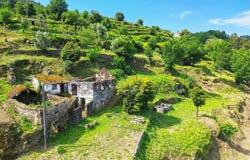 Tarouquela, Viseu 4690