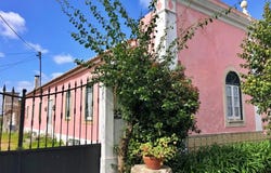 Riachos, Santarém 2350