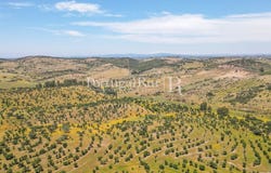 Corval, Évora 7200