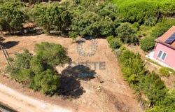 Bombarral, Leiria District