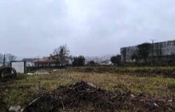 Vila Verde e Barbudo, Braga