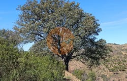 Odeleite, Algarve