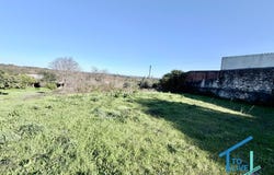 Tomar, Santarém District 2350