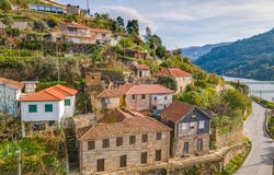 Rua de Porto Manso, Ancede e Ribadouro, Porto District 4640-403