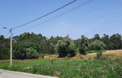Olho Branco, Ouca, Aveiro District 3840-304
