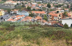 Santo Antônio, Madeira 9020