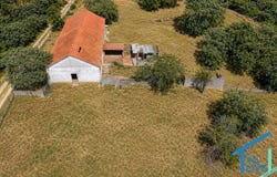 Tomar, Santarém District 2305-176