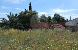 Faro, Algarve 8365