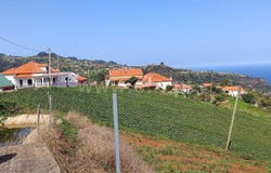 Santana, Madeira 9230