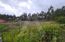 Requeixo, Aveiro District