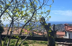 Monte, Madeira 9050