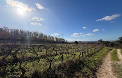 Usseira, Leiria District