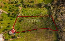 Pombal, Leiria District