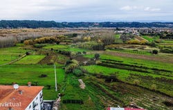 Oiã, Aveiro District