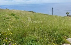 Ribeira Brava, Madeira
