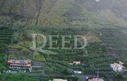 Paúl Do Mar, Madeira 9370
