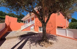 Canedo, Vale e Vila Maior, Aveiro Municipality 4525