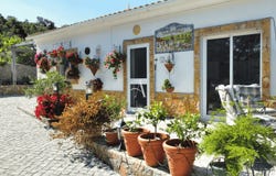 Conceio e Estói, Algarve 8005
