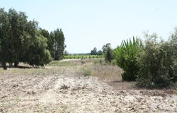 Pegões, Setúbal 2985