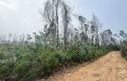 Aguada De Cima, Aveiro District