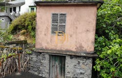 São Vicente (Madeira), Madeira