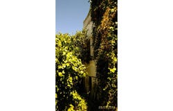 Quelfes, Algarve 8700