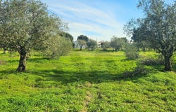 MELIDES, Setubal