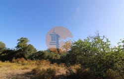 Estoi, Algarve
