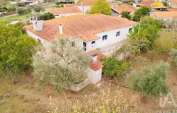 Pelariga, Leiria 3105