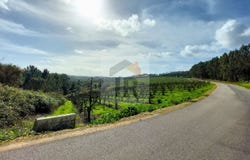 Caldas da Rainha, Leiria District